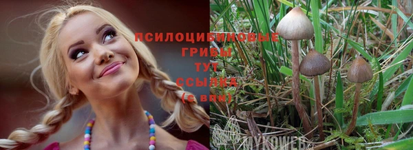 спайс Белокуриха