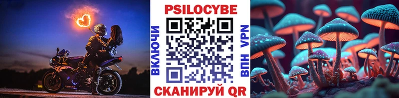 Галлюциногенные грибы Psilocybine cubensis  где продают   Малмыж 
